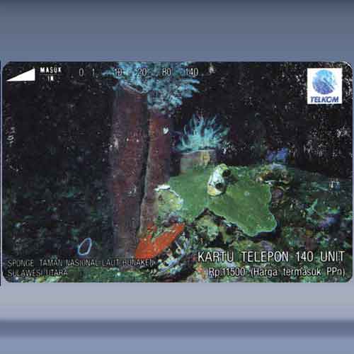 Sponges, Bunaken National,,,